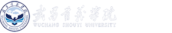 武昌首义学院信息技术中心