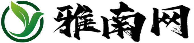 雅南网