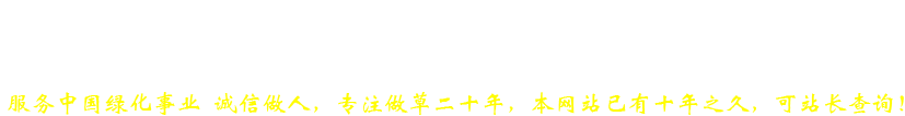 玉川草坪种植基地,常年供应,早熟禾草坪,草籽,草坪,高羊茅草坪,混播草坪,四季青草坪,百慕大草坪,剪股颖草坪,果岭草,黑麦草混播