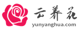 云养花