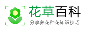 花草百科