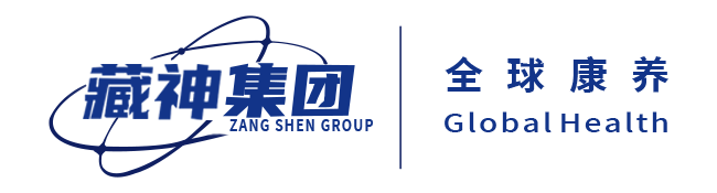 藏神集团