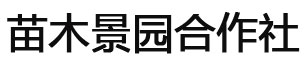 吉首平顶松养护