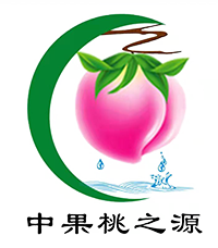 桃树苗及桃树种植技术
