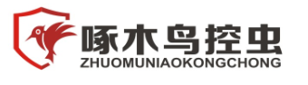 广德啄木鸟生物科技有限公司