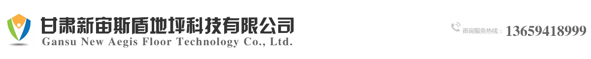 甘肃新宙斯盾地坪科技有限公司