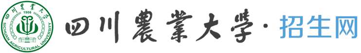 首页